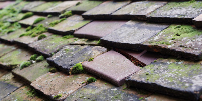 New Inn roof repair costs